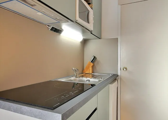 Apartment Skis Aux Pieds Pour 3 Pers., Renove Et Accessible, Ideal Plagne Centre - Fr-1-455-128 *